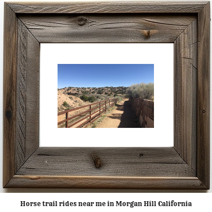 horse trail rides near me in Morgan Hill, California